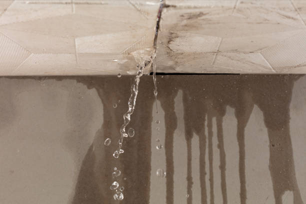 Professional Water Damage Repair technician working in Huntsville, AL